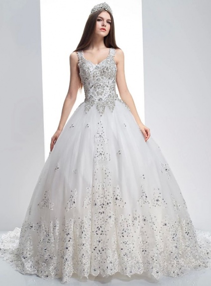 A-line V-neck Cathedral train Tulle Wedding dress