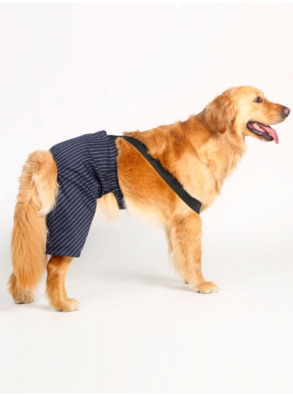 Elegant striped pants for dogs